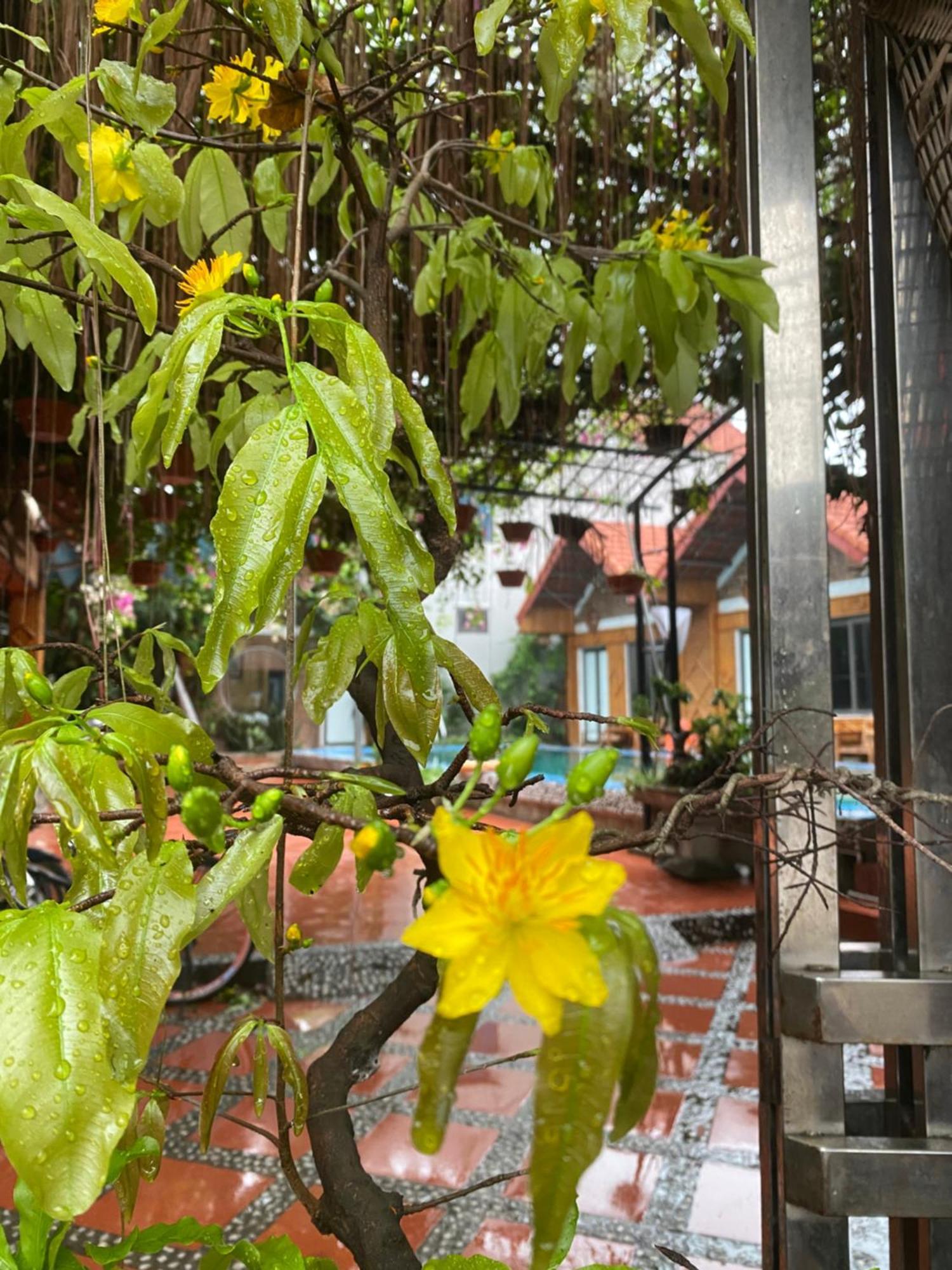 Tam Coc Charming Bungalow Ninh Binh Dış mekan fotoğraf