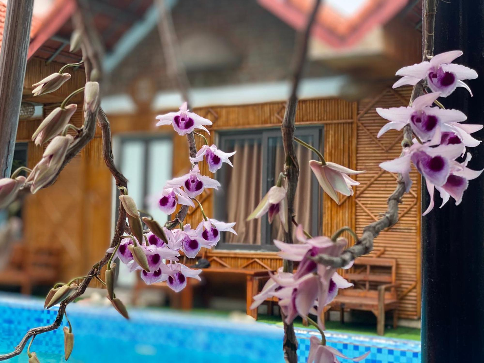 Tam Coc Charming Bungalow Ninh Binh Dış mekan fotoğraf